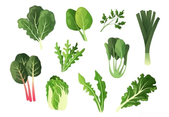 Don't Let Diabetes Win: Practical Tips for a Healthier Lifestyle screenshot 2026 01 15 163348